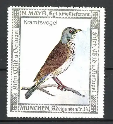 Reklamemarke Hoflieferant N. Mayr, München, Kramtsvogel auf einem Zweig sitzend