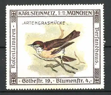 Reklamemarke Kolonialwaren- und Versandhaus Karl Steinmetz, München, Ansicht einer Gartengrasmücke