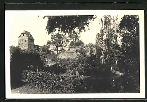 AK Rothenfels am Main, im Garten an der Burg