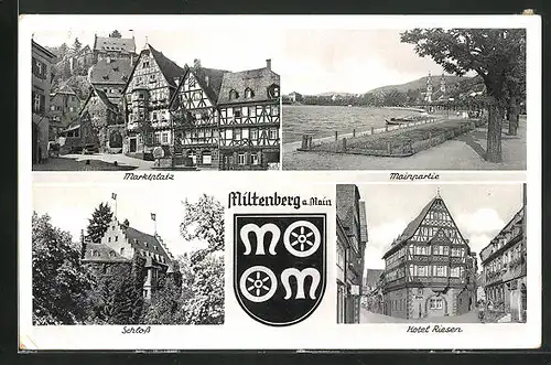 AK Miltenberg am Main, Marktplatz, Mainpartie, Hotel Riesen, am Schloss