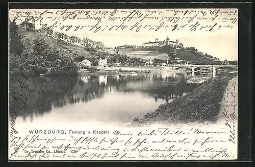 AK Würzburg, Mainpartie, Panoramablick zur Festung