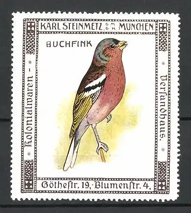 Reklamemarke Kolonialwaren Karl Steinmetz, München, Serie: Vögel, Ansicht eines Buchfinks