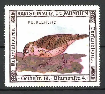 Reklamemarke Kolonialwaren Karl Steinmetz, München, Serie: Vögel, Feldlerche sucht Futter auf einem Feld