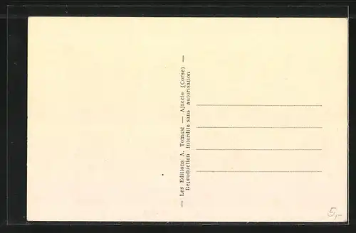 AK Piana, Vue Générale