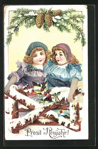 Präge-AK Zwei Fräuleins am Zaun im Schnee, Neujahrsgruss