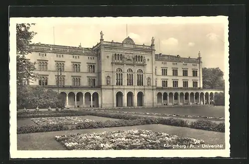 AK Königsberg, Portal der Universität
