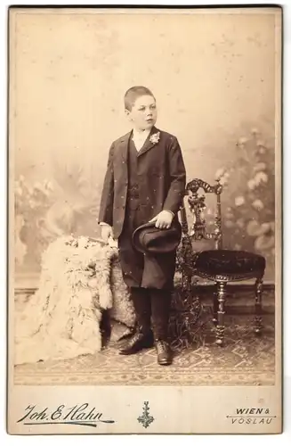 Fotografie Joh. E. Hahn, Wien, Mariahilferstrasse 105, Portrait halbwüchsiger Knabe im Anzug mit Hut