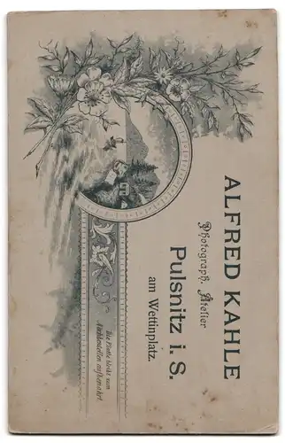 Fotografie Alfred Kahle, Pulsnitz i. S., Portrait zwei junge Damen in eleganten Kleidern