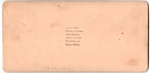 Stereo-Fotografie J. F. Jarvis, Washington D. C., Statuen Love`s Flame, Liebesflamme, Flamme d`Amour