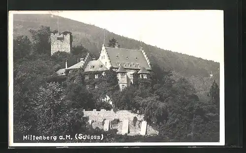 AK Miltenberg a. M., Schloss im Sonnenschein