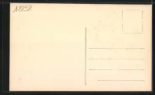 AK Villevallier, Rue du Pont avant la construction du pont suspendu, Strassenpartie