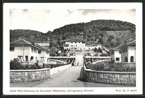 AK Zwingenberg / Hessen, Siedlung der Deutschen Milchwerke