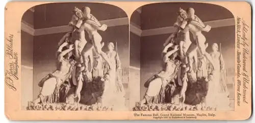 Stereo-Fotografie J. F. Jarvis, Washington D.C., Ansicht Neapel, The Famous Bull im National Museum