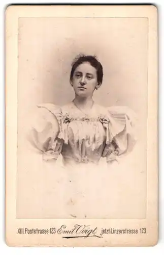 Fotografie Emil Voigt, Wien, Linzerstrasse 123, Portrait junge Dame im Kleid mit Puffärmeln