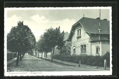 AK Langenzersdorf, Tutzgasse mit Bäumen