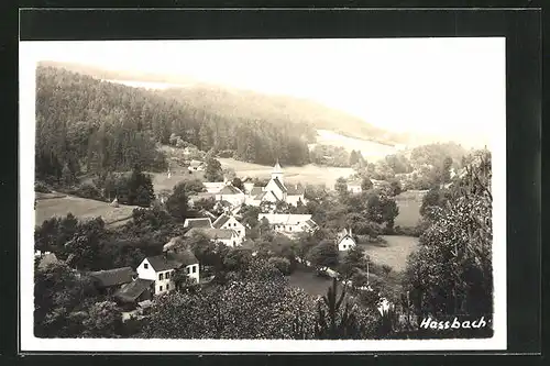 AK Hassbach, Das Dorf im Walde