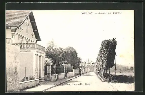 AK Courlon, Avenue des Tilleuls