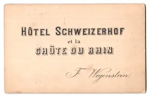 Fotografie F. Wegestein, Schaffhausen, Ansicht Schaffhausen, Rheinfall mit Hotel Schweizerhof