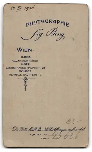 Fotografie Sig. Bing, Wien, Landstrasse Hauptstrasse 21, Portrait junge Dame in eleganter Kleidung