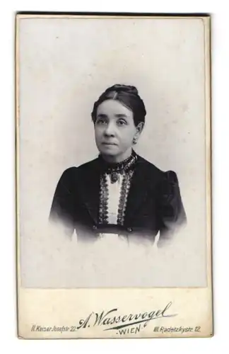 Fotografie A. Wasservogel, Wien, Radetzkystrasse 12 u. Kaiser Josefstrasse 22, Portrait junge Dame mit Kragenbrosche