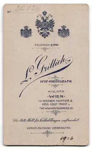 Fotografie L. Grillich, Wien, Wiedner Hauptstrasse Nr. 12., Dame in Sonntagskleidung mit zusammengesteckten Haar