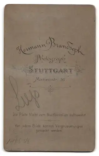 Fotografie Hermann Brandseph, Stuttgart, Marienstrasse 36, Portrait kleiner Junge im Matrosenhemd