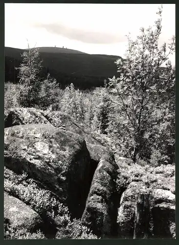 12 Fotografien Ansicht Wernigerode, Herausgeber PGH Film & Bild Berlin, Foto Kurt Zerback, Das Leben im Sozialismus-DDR