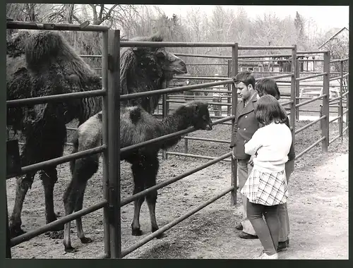 11 Fotografien Ansicht Kreis Auerbach, Herausgeber PGH Film & Bild Berlin, Foto Hoffmann, Leben im Sozialismus-DDR