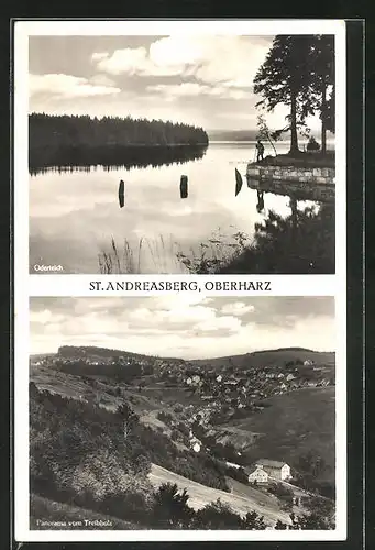 AK St. Andreasberg / Oberharz, Oderteich, Panoramablick vom Treibholz
