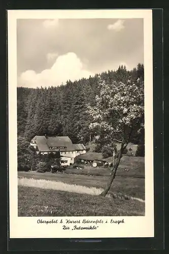 AK Oberpöbel i. Erzgebirge, Gasthaus Putzmühle