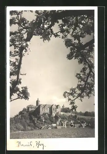 AK Ranis / Thür., Blick auf die Burg