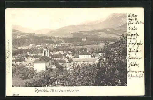 AK Reichenau, Ortsansicht