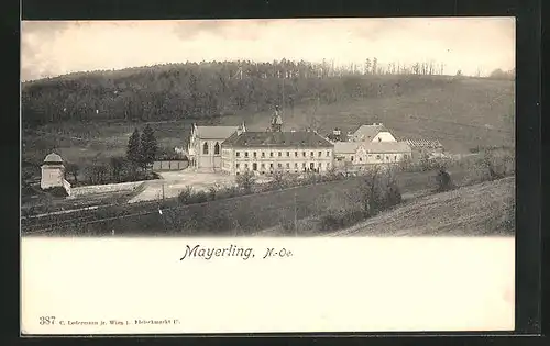 AK Mayerling, Häuser am Feld