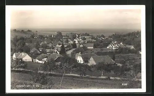 AK Loosdorf, Blick auf den Ort mit umgebender Landschaft