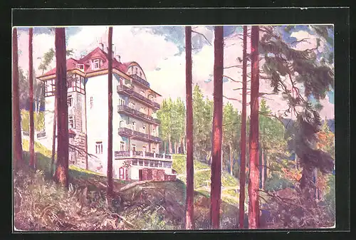 Künstler-AK Semmering, Hotel Sonnwendhof im Walde