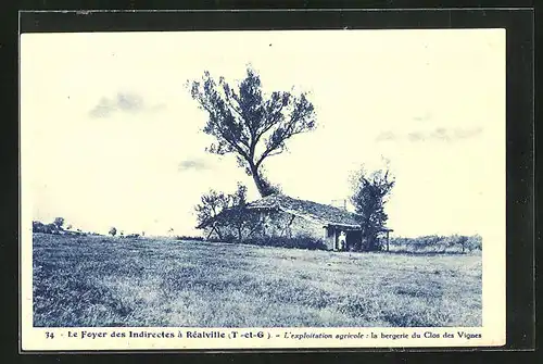 AK Réalville, L`exploitation agricole, la bergerie du Clos des Vignes