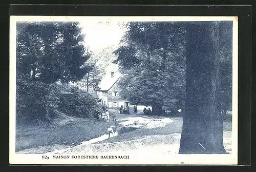 AK Baerenbach, Maison Forestiere