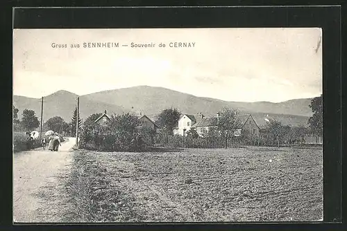 AK Cernay, Vue générale