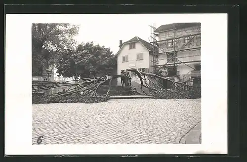 Foto-AK Zürich, Verheerungen durch Schneefall in der Nacht vom 23. auf den 24. Mai 1908