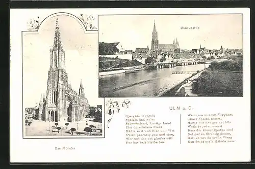 AK Ulm a. D., Blick auf die Donau mit Münster