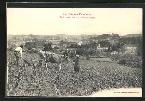 AK Orthez, Vue générale