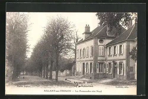 AK Aillant-sur-Tholon, Les Promenades