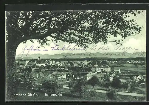 AK Lambach, Stadtansicht mit Baum im Vordergrund