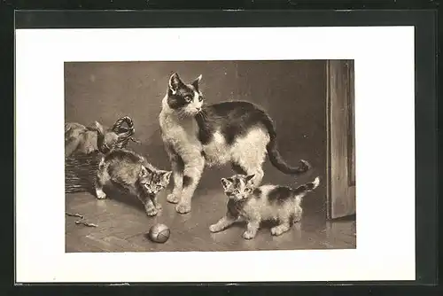 AK Eine Katzenmutter mit ihren Kindern