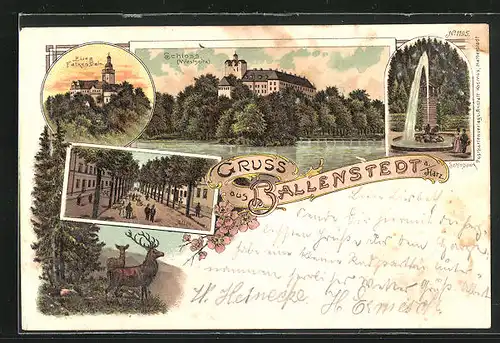 AK Ballenstedt a. Harz, Burg Falkenstein, Wildgruppe, Schlosspark mit Wasserspiel, Schloss (Westseite), Allee