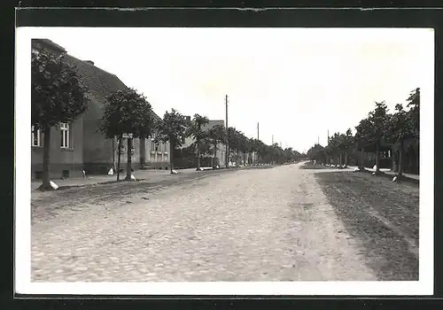 Foto-AK Lögow, Strassenpartie mit Wohnhäusern 1938