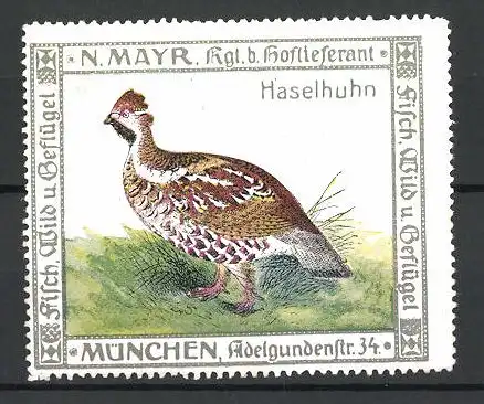 Reklamemarke Kgl. Hoflieferant N. Mayr, Adelgundenstrasse 34, München, Haselhuhn auf einer Wiese