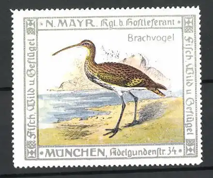 Reklamemarke Kgl. Hoflieferant N. Mayr, Adelgundenstrasse 34, München, Brachvogel am Ufer stehend