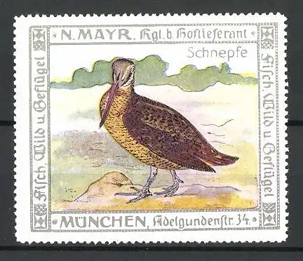 Reklamemarke Kgl. Hoflieferant N. Mayr, Adelgundenstrasse 34, München, Schnepfe auf Sand stehend