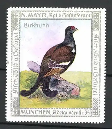 Reklamemarke Kgl. Hoflieferant N. Mayr, Adelgundenstrasse 34, München, Birkhuhn auf einem Baumstumpf